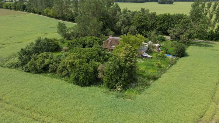 Traumhaftes Reethaus mit zwei Wohnungen in idyllischer Alleinlage