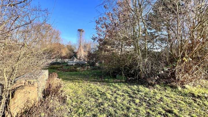 Außergewöhnliches Gartengrundstück mit parkähnlichem Charakter