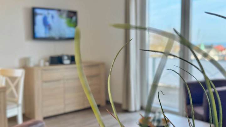 Traumhafte Ferienwohnung mit Ostseeblick