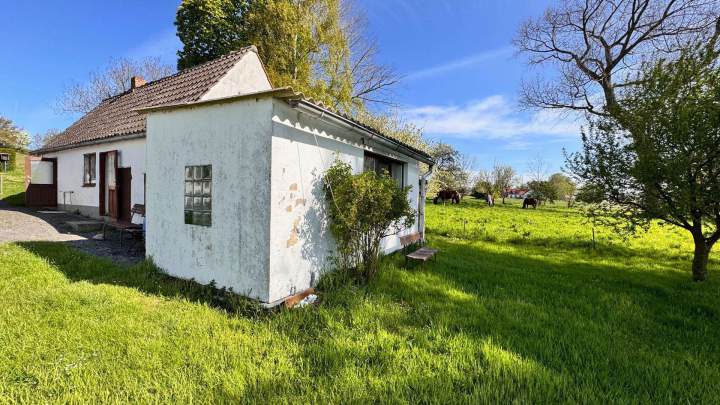 💎Seltene Gelegenheit auf Hiddensee💎