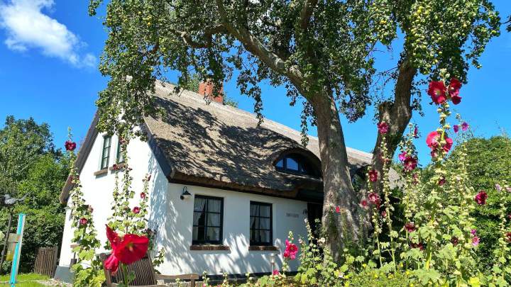 PROVISIONSFREI!!! - Exklusives Anwesen in absolut ruhiger Lage auf Rügen