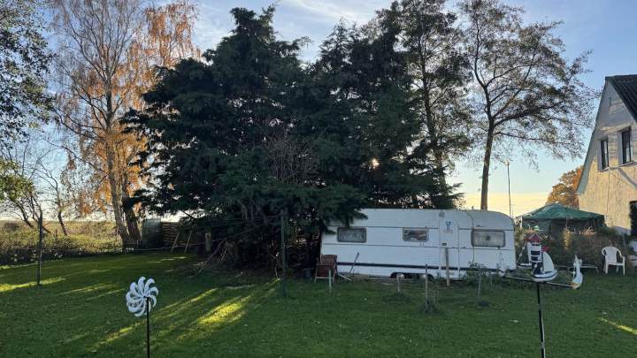 Charmantes Wohnhaus in Alleinlage – sanierungsbedürftig mit großem Grundstück