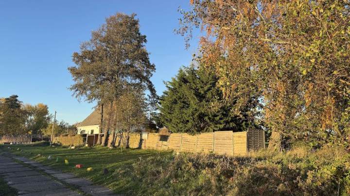 Charmantes Wohnhaus in Alleinlage – sanierungsbedürftig mit großem Grundstück