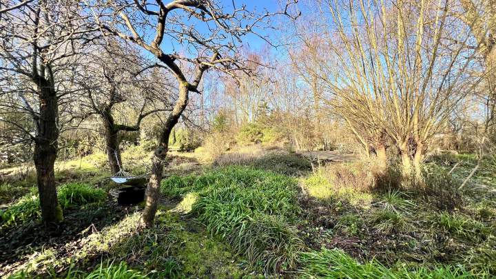 Außergewöhnliches Gartengrundstück mit parkähnlichem Charakter