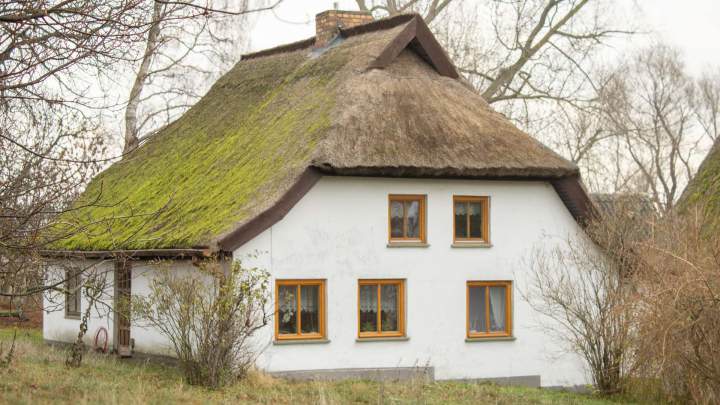 Fischerhaus mit Geschichte auf Hiddensee - Großes Grundstück