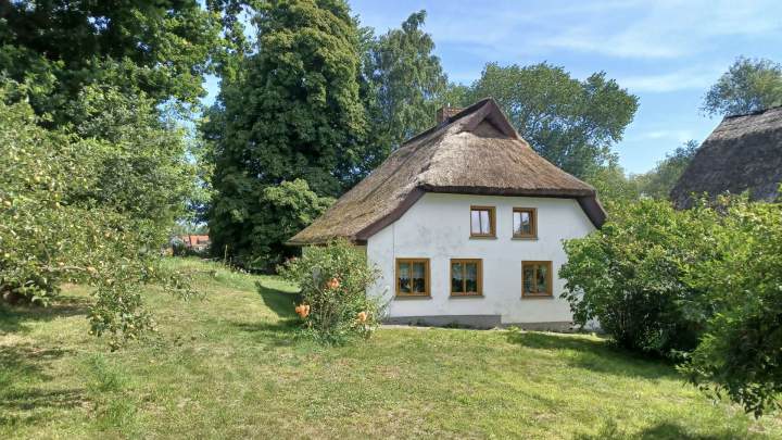 Fischerhaus mit Geschichte auf Hiddensee - Großes Grundstück