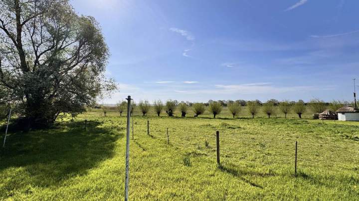Fischerhaus mit Geschichte auf Hiddensee - Großes Grundstück
