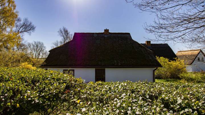 Hiddensee - Fischerhaus mit Geschichte mit großem Grundstück