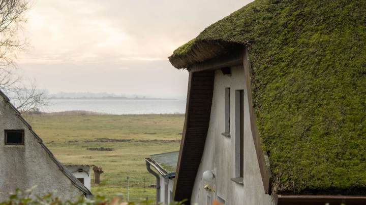 Hiddensee - Fischerhaus mit Geschichte mit großem Grundstück